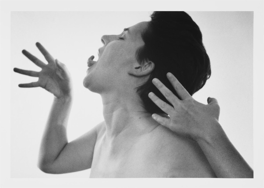 Sem título (MDIP #4)