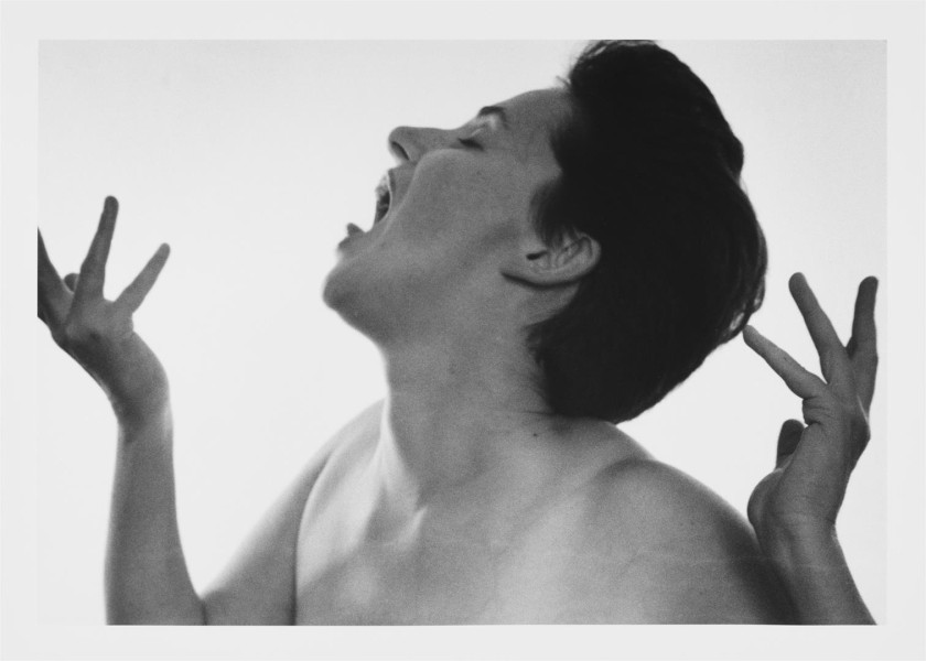 Sem título (MDIP #5)